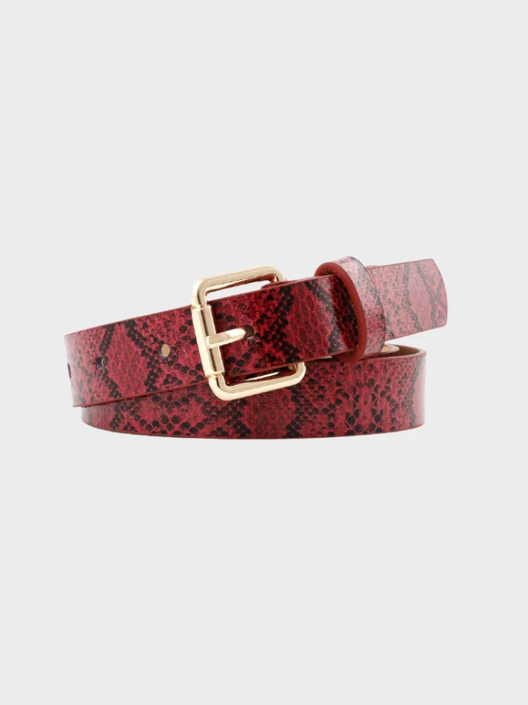 DCRB Snake Print Belt - Image 4